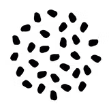 2021_02_01_LL_Logo_Signet.png